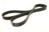 ASHIKA 112-6PK1740 V-Ribbed Belts